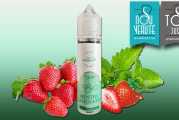 Menthe Gariguette par Petit Nuage