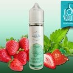 Menthe Gariguette par Petit Nuage