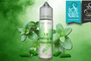 Le Chewing Gum Menthe par Le Vaporium
