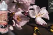 Sakura Berries par Yakuza