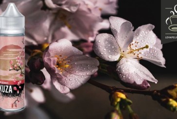 Sakura Berries par Yakuza