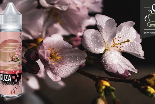Sakura Berries par Yakuza