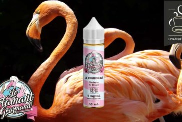 Le Formidable (Gamme Le Flamand Gourmand) par Liquidarom