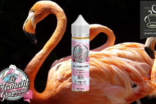 Le Formidable (Gamme Le Flamand Gourmand) par Liquidarom