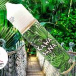 Kawabana par Bio Concept