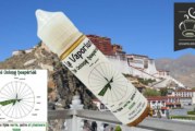 Thé Oolong Hespéridé par Le Vaporium