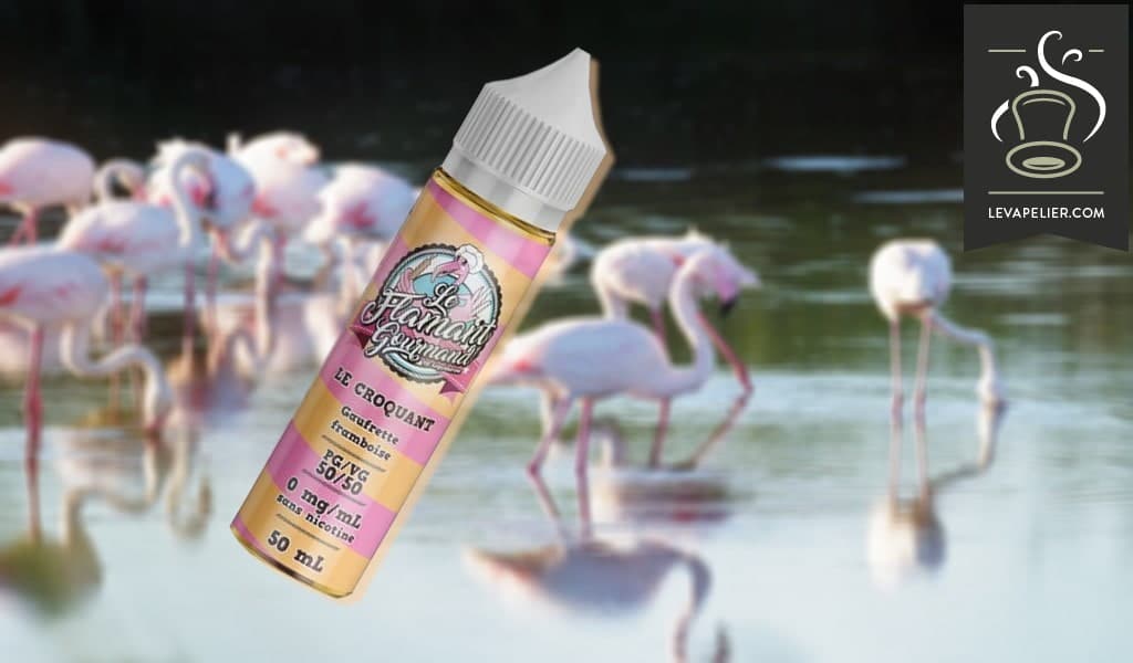 Le Croquant par Le Flamant Gourmand