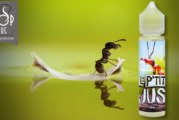 Le P’tit Jus (Gamme Le P’tit Jus) par Unicorn Vape/Jin and Juice