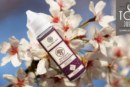 Douceur Du Verger (Gamme Essentials) par Flavor Hit