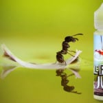 Le P'tit Jus (Gamme Le P'tit Jus) par Unicorn Vape/Jin and Juice