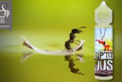 Le P’tit Jus (Gamme Le P’tit Jus) par Unicorn Vape/Jin and Juice