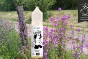 Judith par 814