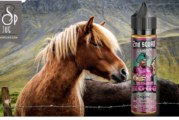 Boss Hogg (Gamme 2nd Squad de Modjo) par Liquidarom