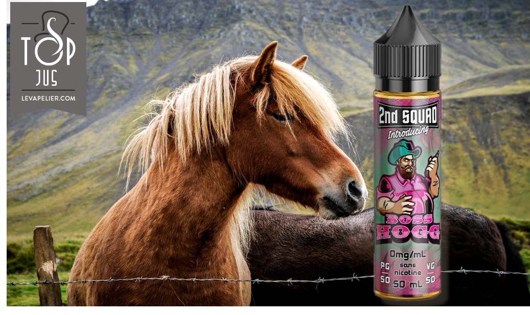 Boss Hogg (Gamme 2nd Squad de Modjo) par Liquidarom