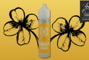 Avanoa (Gamme Barakka) par Vaponaute Paris