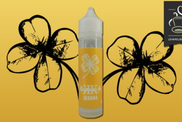 Avanoa (Gamme Barakka) par Vaponaute Paris