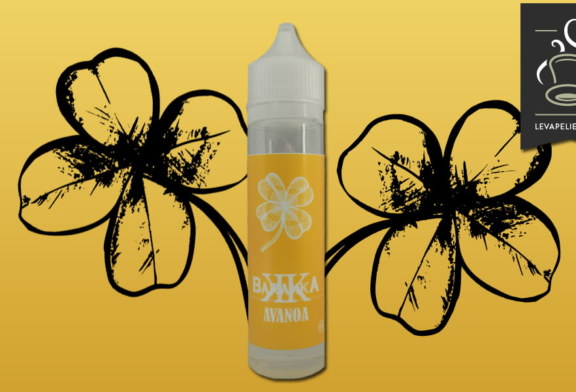 Avanoa (Gamme Barakka) par Vaponaute Paris