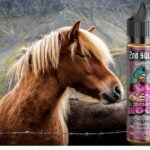 Boss Hogg (Gamme 2nd Squad de Modjo) par Liquidarom