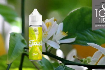 Kiwizz ( Gamme Twist ) par Flavor Hit