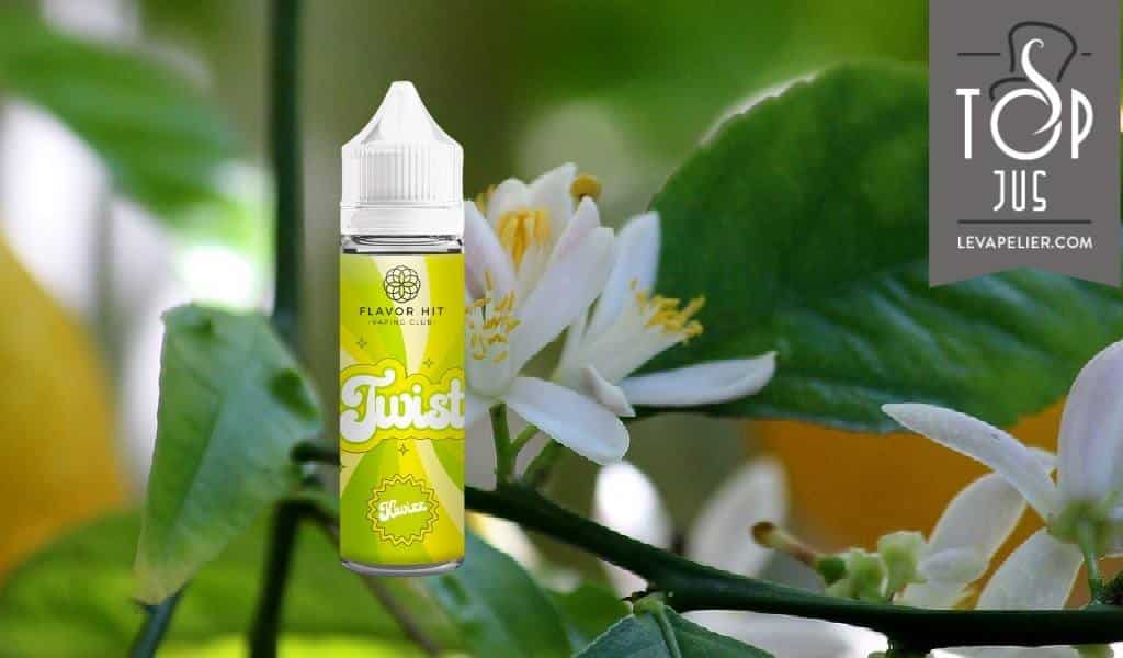 Kiwizz ( Gamme Twist ) par Flavor Hit