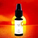 By The Sun (Gamme E-Voyages) par Vaponaute