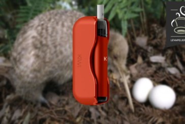 Kiwi par Kiwi Vapor