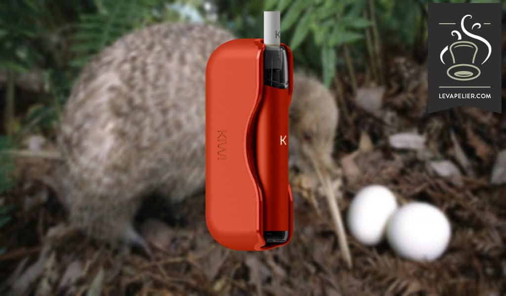 Kiwi par Kiwi Vapor