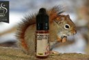 Noisette par Nicovip