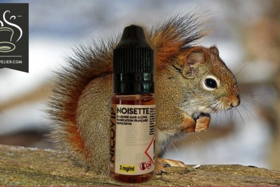 Noisette par Nicovip