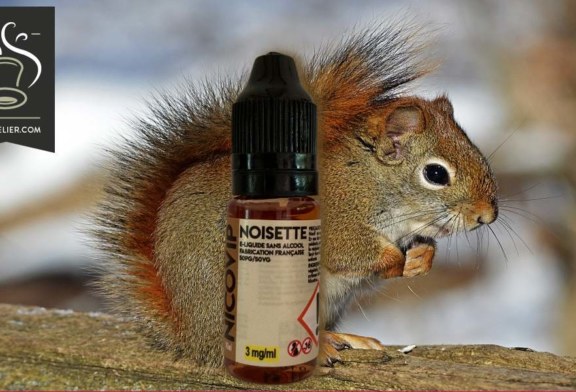 Noisette par Nicovip
