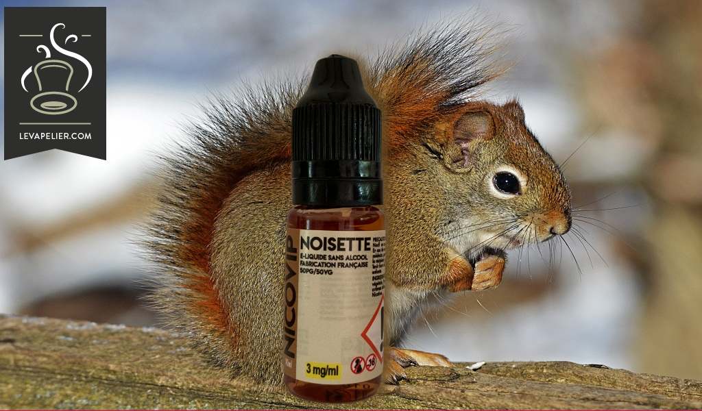 Noisette par Nicovip