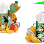 Fighter Fuel : Kansetsu et Shaken.