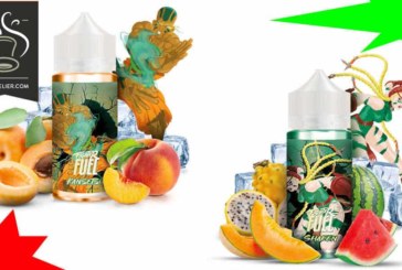 Fighter Fuel : Kansetsu et Shaken.