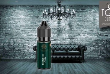 Menthe Gum (Gamme Flavor Hit Authentic) par Flavor Hit