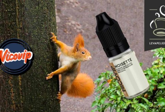 Noisette par Nicovip
