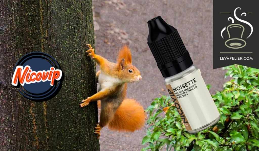 Noisette par Nicovip