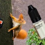 Noisette par Nicovip