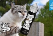 Ma Chatte S’appelle Mimi par La Fine Equipe