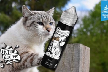 Ma Chatte S’appelle Mimi par La Fine Equipe