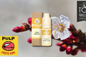 Pulpe D’Abricot par Pulp