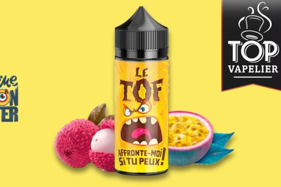 Le Tof (Gamme Slime Monster) par Toutatis