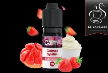 Gâteau Spatial (Gamme Calm +) par Fuu