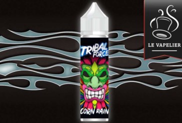Unicorn Rainbow (Gamme Tribal Origins) par Tribal Force