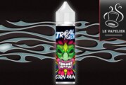 Unicorn Rainbow (Gamme Tribal Origins) par Tribal Force