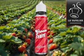 Grosse Fraise (Gamme Wpuff Flavors) par Liquideo