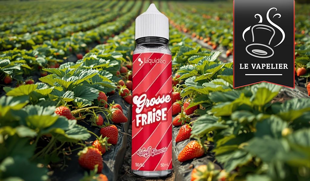 Grosse Fraise (Gamme Wpuff Flavors) par Liquideo