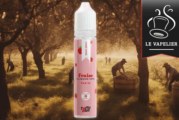 Fraise par Taffe-elec