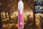 Fruit du Dragon par Taffe-elec
