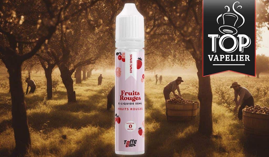 Fruits Rouges par Taffe-elec