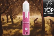 Fruit du Dragon par Taffe-elec
